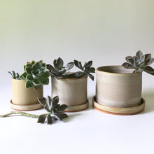 Load image into Gallery viewer, Stoneware Planters