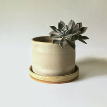 Load image into Gallery viewer, Stoneware Planters