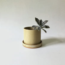 Load image into Gallery viewer, Stoneware Planters