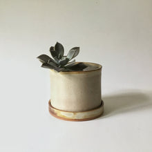 Load image into Gallery viewer, Stoneware Planters