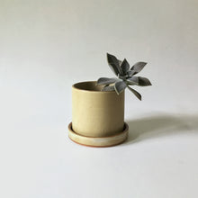 Load image into Gallery viewer, Stoneware Planters
